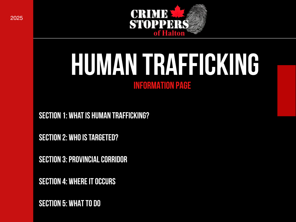 Human Trafficking Information Page